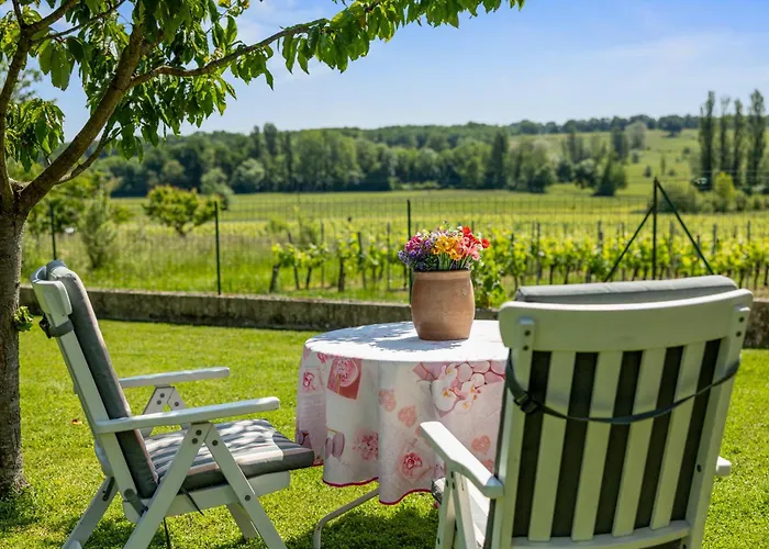 Au Coeur Des Vignes * Montagne (Gironde)